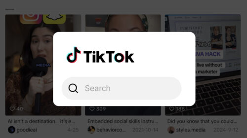 TikTok SEO guide
