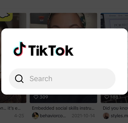 TikTok SEO guide