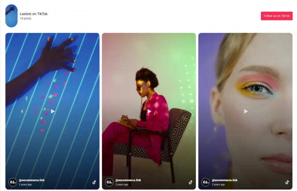 TikTok Feed Widget