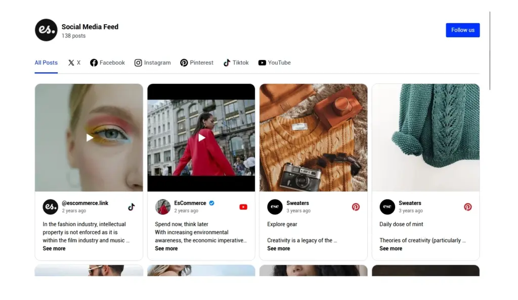 Social Media Feed Widget