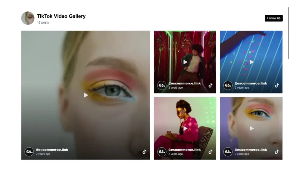 TikTok Collage Widget