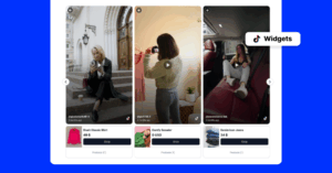 Demos of widgets for TikTok content to display on client websites by agencies