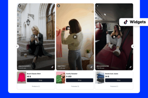 Demos of widgets for TikTok content to display on client websites by agencies