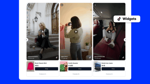 Demos of widgets for TikTok content to display on client websites by agencies