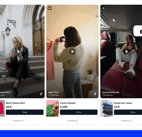 Demos of widgets for TikTok content to display on client websites by agencies