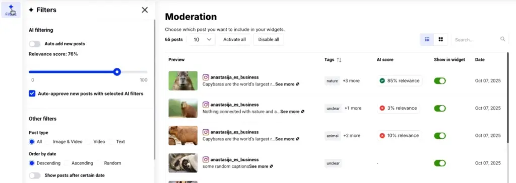 embedsocial ai filters feature