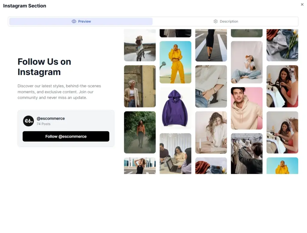 instagram section widget