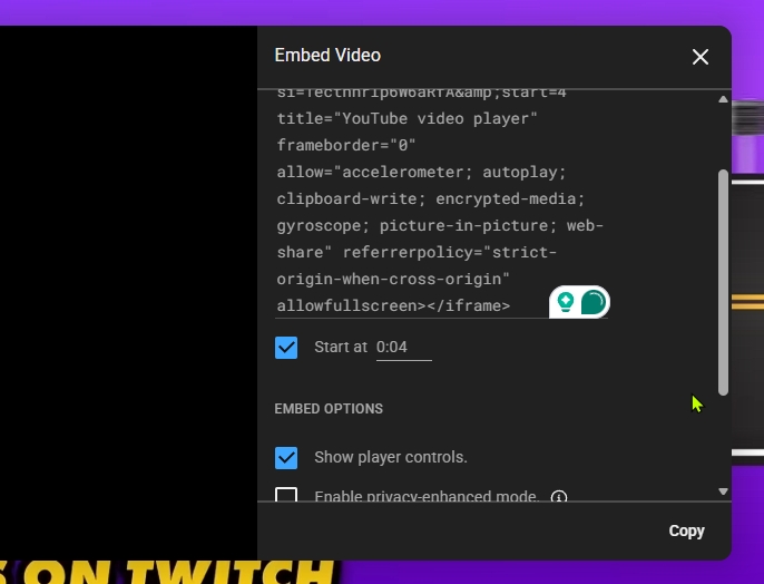 custom embed video parameters